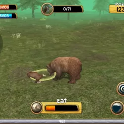 Wild Bear Simulator