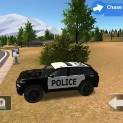 Police Car Driving Offroad