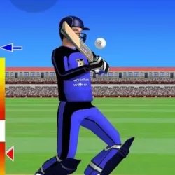 Smashing Cricket - a cricket game like none other