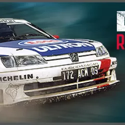 DiRT Rally 2.0: Peugeot 306 Maxi