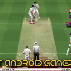 Real Cricket™ Test Match