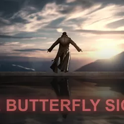 The Butterfly Sign: Human Error