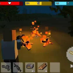 Zombie Craft - Free Shooting Game