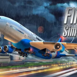 Flight Sim 2019