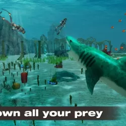 Shark Simulator 2019