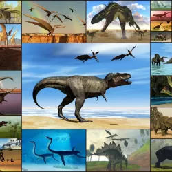 Dinosaurs Jigsaw Puzzles Game - Kids & Adults