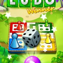 Ludo Game : Ludo Winner