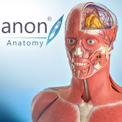 3D Organon Anatomy | Enterprise Edition