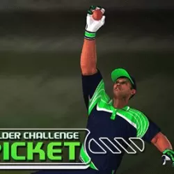 Cricket Fielder Challenge