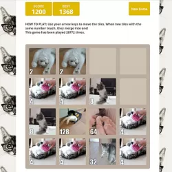 Cat 2048