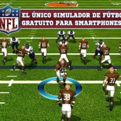 NFL Pro 2013