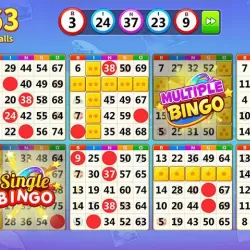 Bingo: Lucky Bingo Games Free to Play at Home