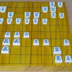 Shogi Free (Beginners)