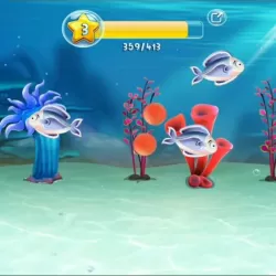 Fish Paradise - Ocean Friends