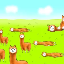 Alpaca Evolution