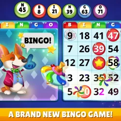 Bingo Town - Live Bingo Games for Free Online