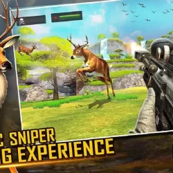 Deer Hunting 2020 - Animal Sniper Shooting Game