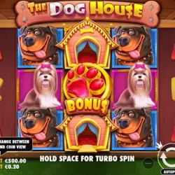 Dog Slots