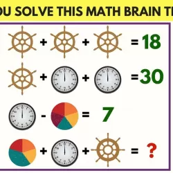 Brain Maths Puzzle