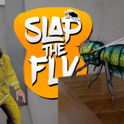 Slap The Fly